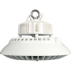 Eiko Global - 1 Lamp, 200 Watts, LED, High Bay Fixture - 250mm High x 11.81" Wide, 120-277 Volt, Steel Housing - Exact Tooling