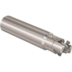 Seco - 25mm Cut Diam, 12mm Max Depth of Cut, 25mm Shank Diam, 170mm OAL, Indexable Square Shoulder Slot Milling End Mill - LOEX12 Inserts, Straight Shank, 90° Lead Angle, Through Coolant, Series 217.94-12 - Exact Tooling