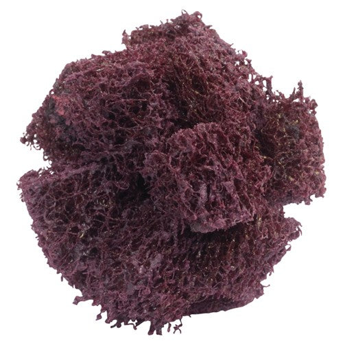 1 1/2″ × 1 1/2″ × 1/2″ Cross Buff 2-Ply Coarse Grit 8-32 Eyelet Aluminum Oxide - Exact Tooling