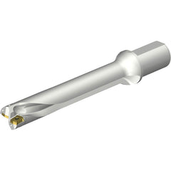Sandvik Coromant - Indexable Insert Drills; Drill Style: DS20 ; Drill Diameter (mm): 42.00 ; Maximum Drill Depth (mm): 253.28 ; Shank Type: Straight ; Shank Diameter (mm): 50.0000 ; Cutting Direction: Right Hand - Exact Tooling