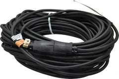 Southwire - 100', 16/3 Gauge/Conductors, Black Outdoor Extension Cord - 1 Receptacle, 10 Amps, UL SJEOW, NEMA 5-15P, 5-15R - Exact Tooling