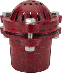 Value Collection - 2" Hose, Foot Valve - Cast Iron - Exact Tooling