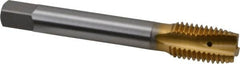 OSG - 3/4-10 UNC, 3 Flute, TiN Finish, Vanadium High Speed Steel Spiral Point Tap - Plug Chamfer, Right Hand Thread, 125mm OAL, 2" Thread Length, 0.59" Shank Diam, 2B Class of Fit, Series 260 - Exact Tooling