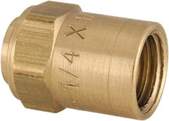 Dixon Valve & Coupling - Reusable Hose Hose Ferrule - 1/4" Hose ID x 1/2" Hose OD - Exact Tooling