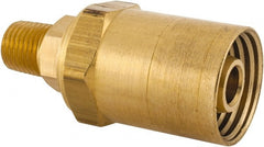 Dixon Valve & Coupling - 1/4 NPTF, Reusable Hose Male Fitting - 1/2" Hose ID x 15/16" Hose OD - Exact Tooling