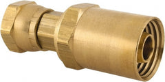Dixon Valve & Coupling - 1/2 NPSM, Reusable Hose Female Swivel Fitting - 1/2" Hose ID x 15/16" Hose OD - Exact Tooling