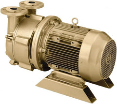DEKKER Vacuum Technologies - 29 Hg Max, 1-1/2" ANSI 150# RF Flanged Inlet & Discharge, Single Stage Liquid Ring Vaccum Pump - 100 CFM, 7.5 hp, 316 Stainless Steel Housing, 316 Stainless Steel Impeller, 1,750 RPM, 230/460 Volts - Exact Tooling