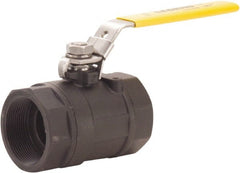 Legend Valve - 1/4" Pipe, Large Port, Carbon Steel Standard Ball Valve - 2 Piece, FNPT x FNPT Ends, Locking Lever Handle, 2,000 WOG, 150 WSP - Exact Tooling