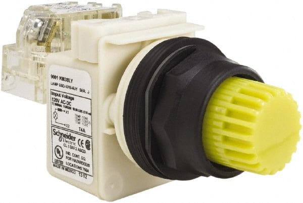 Schneider Electric - 30mm Mount Hole, Extended Straight, Pushbutton Switch with Contact Block - Yellow Pushbutton, Momentary (MO) - Exact Tooling
