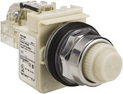 Schneider Electric - 120 VAC White Lens Indicating Light - Screw Clamp Connector - Exact Tooling