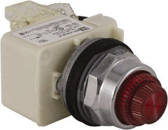 Schneider Electric - 24 V Red Lens LED Press-to-Test Indicating Light - Octagonal Lens, Screw Clamp Connector - Exact Tooling