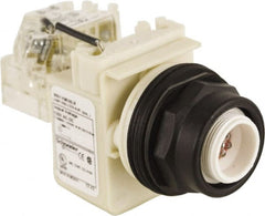 Schneider Electric - 120 V LED Press-to-Test Indicating Light - Round Lens, Screw Clamp Connector, Corrosion Resistant, Dust Resistant, Oil Resistant - Exact Tooling