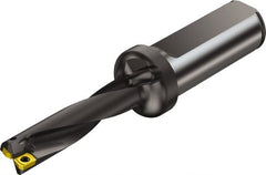 Sandvik Coromant - 100mm Max Drill Depth, 4xD, 24mm Diam, Indexable Insert Drill - 2 Inserts, 25mm Shank Diam, Flange Shank - Exact Tooling