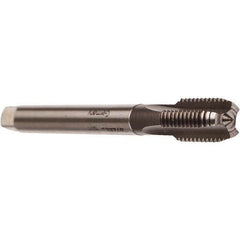 Emuge - 1-11" BSPP, 5 Flutes, Bottoming Chamfer, Bright Finish, Cobalt British Standard Pipe Tap - 0.9843" Shank Diam, 0.7874" Square Size, Series Rekord A - Exact Tooling