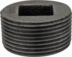 Value Collection - Class 150, 1-1/2" Black Pipe Countersunk Plug - Threaded, Malleable Iron - Exact Tooling