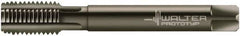 Walter-Prototyp - 1-1/4 - 11" BSPP, 6 Flutes, Modified Bottoming Chamfer, Nitride/Oxide Coated, Powdered Metal British Standard Pipe Tap - 1.2598" Shank Diam, 0.9449" Square Size, Series E24364 - Exact Tooling