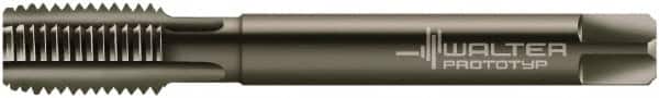 Walter-Prototyp - 1/4-19" BSPP, 4 Flutes, Modified Bottoming Chamfer, Nitride/Oxide Coated, Powdered Metal British Standard Pipe Tap - 0.4331" Shank Diam, 0.3543" Square Size, Series E24364 - Exact Tooling