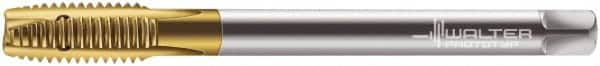 Walter-Prototyp - M12x1.75 Metric, 3 Flute, TiN Finish, Powdered Metal Spiral Point Tap - Plug Chamfer, Right Hand Thread, 110mm OAL, 23mm Thread Length, 9mm Shank Diam, 6H Class of Fit, Series 7026345 - Exact Tooling