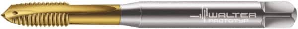 Walter-Prototyp - M6x1.00 Metric, 3 Flute, TiN Finish, Powdered Metal Spiral Point Tap - Plug Chamfer, Right Hand Thread, 80mm OAL, 15mm Thread Length, 6mm Shank Diam, 6H Class of Fit, Series 7021345 - Exact Tooling
