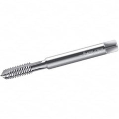 Walter-Prototyp - #5-40 UNC, 2 Flute, Bright Finish, Powdered Metal Spiral Point Tap - Plug Chamfer, Right Hand Thread, 56mm OAL, 10mm Thread Length, 3.5mm Shank Diam, 3B Class of Fit, Series 22207 - Exact Tooling