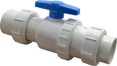 Little Giant Pumps - 2" PVC Check Valve - Inline, Union - Exact Tooling
