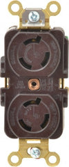 Hubbell Wiring Device-Kellems - 250 VAC, 15 Amp, L6-15R NEMA, Self Grounding Receptacle - 2 Poles, 3 Wire, Female End, Brown - Exact Tooling