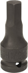 Paramount - 1/2" Drive, 1/2" Impact Hex Bit Socket - 1-3/8" Bit Length, 2-5/16" OAL - Exact Tooling