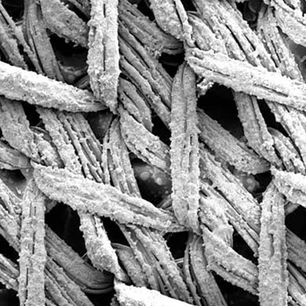 3M - Disc Kits Abrasive Type: Non-Woven Disc Diameter (Inch): 3; 5; 6 - Exact Tooling