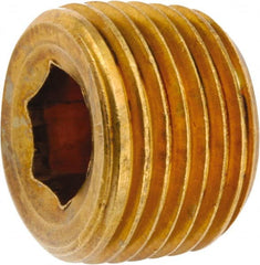 ANDERSON METALS - 3/4-14 Male Thread, Lead Free Brass Industrial Pipe Hollow Hex Plug - MNPT, 1,000 psi - Exact Tooling