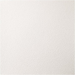 Genesis - Pack of 12 Stucco Pro 23-3/4" x 23-3/4" x 0.197" Vinyl Ceiling Tiles - Exact Tooling
