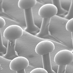 3M - 7" Diam Hook & Loop Disc Backing Pad - 6,000 RPM - Exact Tooling