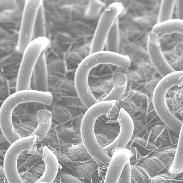 3M - 6" Diam Hook & Loop Disc Backing Pad - 12,000 RPM - Exact Tooling