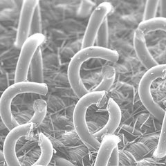 3M - 6" Diam Hook & Loop Disc Backing Pad - 12,000 RPM - Exact Tooling