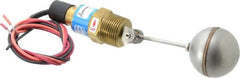 Thomas Products Ltd. - 1" Thread, 900 Max psi, 300°F Max, Liquid Level Side Mounted Float Switches - Brass Stem - Exact Tooling