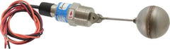 Thomas Products Ltd. - 1" Thread, 900 Max psi, 300°F Max, Liquid Level Side Mounted Float Switches - SST Stem - Exact Tooling