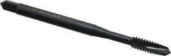 OSG - #6-32 UNC, 2 Flute, Oxide Finish, Vanadium High Speed Steel Spiral Point Tap - Plug Chamfer, Right Hand Thread, 2" OAL, 11/16" Thread Length, 0.141" Shank Diam - Exact Tooling