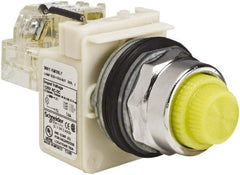 Schneider Electric - 120 VAC Yellow Lens LED Indicating Light - Screw Clamp Connector - Exact Tooling