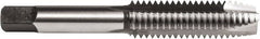 Union Butterfield - 1/4-20 UNC, 2 Flute, Bright Finish, High Speed Steel Spiral Point Tap - Plug Chamfer, Right Hand Thread, 2-1/2" OAL, 1" Thread Length, 0.255" Shank Diam, Series 1585OV - Exact Tooling