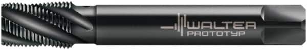 Walter-Prototyp - 1/2-14 NPT, 30° Helix, 5 Flutes, Modified Bottoming Chamfer, Oxide Finish, Cobalt, Spiral Flute Pipe Tap - Right Hand Flute, 0.7087" Shank Diam, 1.0236" Thread Length, 0.5709" Square Size, Series 25567 - Exact Tooling