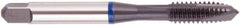 Regal Cutting Tools - M16x1.50 Metric, 3 Flute, Oxide Finish, Vanadium High Speed Steel Spiral Point Tap - Plug Chamfer, Right Hand Thread, 3-13/16" OAL, 1.083" Thread Length, 0.48" Shank Diam, Series Triple Crown - Exact Tooling