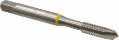 Guhring - 1/4-28 UNF, 3 Flute, Bright Finish, Cobalt Spiral Point Tap - Plug Chamfer, Right Hand Thread, 2-1/2" OAL, 0.63" Thread Length, 0.255" Shank Diam, 2B Class of Fit, Series 3902 - Exact Tooling