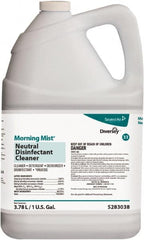 Diversey - Case of (4) 1 Gal Bottles Disinfectant - Exact Tooling