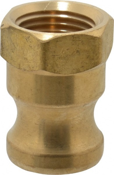 EVER-TITE Coupling Products - 1/2" Brass Cam & Groove Suction & Discharge Hose Male Adapter Female NPT Thread - Part A, 1/2" Thread, 200 Max psi - Exact Tooling