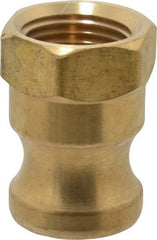 EVER-TITE Coupling Products - 1/2" Brass Cam & Groove Suction & Discharge Hose Male Adapter Female NPT Thread - Part A, 1/2" Thread, 200 Max psi - Exact Tooling