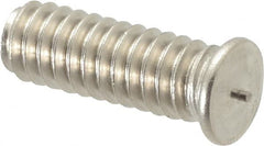 Bettermann - 1/4-20, Stainless Steel Threaded Flanged Studs - 3/4 Inch Overall Length - Exact Tooling