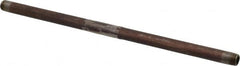 B&K Mueller - Schedule 40, 1/4" Diam x 12" Long Steel Black Pipe Nipple - Threaded - Exact Tooling