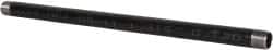 B&K Mueller - Schedule 40, 1" Diam x 24" Long Steel Black Pipe Nipple - Threaded - Exact Tooling