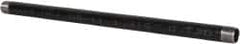 B&K Mueller - Schedule 40, 1" Diam x 24" Long Steel Black Pipe Nipple - Threaded - Exact Tooling