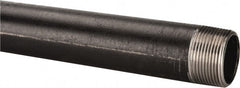 B&K Mueller - Schedule 40, 1-1/4" Diam x 36" Long Steel Black Pipe Nipple - Threaded - Exact Tooling