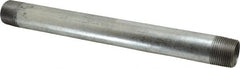 B&K Mueller - Schedule 40, 1 x 12" Galvanized Pipe Nipple - Threaded Steel - Exact Tooling